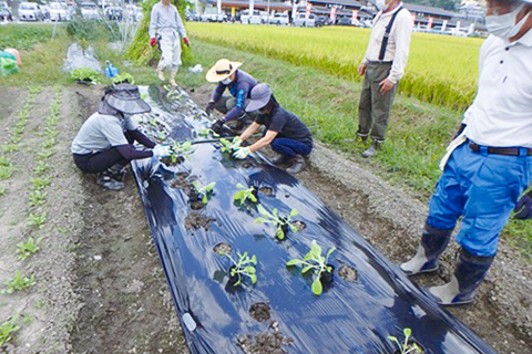 野菜づくり塾01