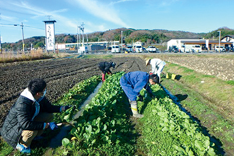 野菜づくり塾02